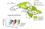 Schematics and averaged yields in the fertilization/shade experiment  / cliquer pour agrandir