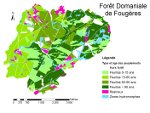 Carte des peuplements