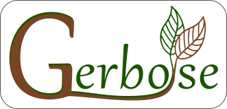 Gerboise