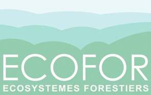 logo Ecofor eclairci