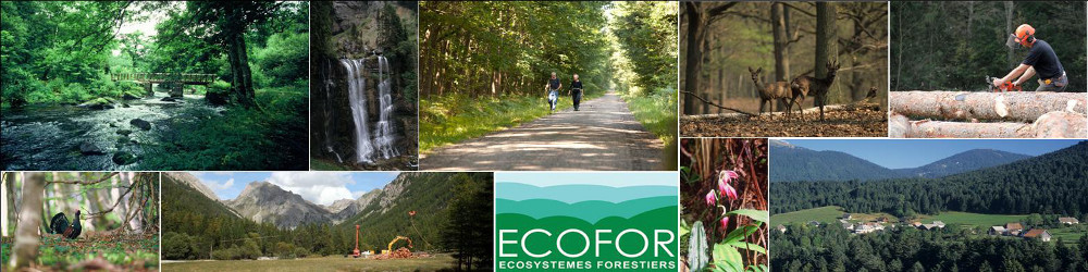 SEHS Ecofor