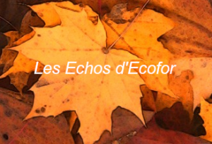 Echos-Ecofor