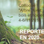 REPORTE EN 2020 - Colloque  « Arbre, forêt, bois et société »