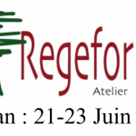 7e atelier REGEFOR : "Forêt en crise, relevons le défi !"