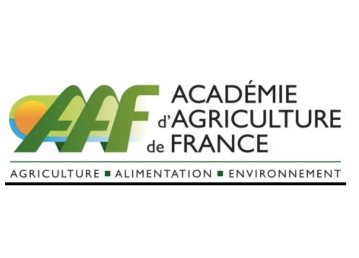 Webinaire de l'Académie d'Agriculture de France : "La fixation du carbone en forêt va-t-elle devenir une activité rémunérée ?"