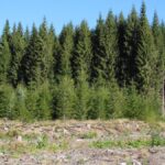 22 novembre 2022 – Séminaire de restitution de l'expertise collective "Expertise CRREF – Coupes Rases et Renouvellement des peuplements Forestiers en contexte de changement climatique"