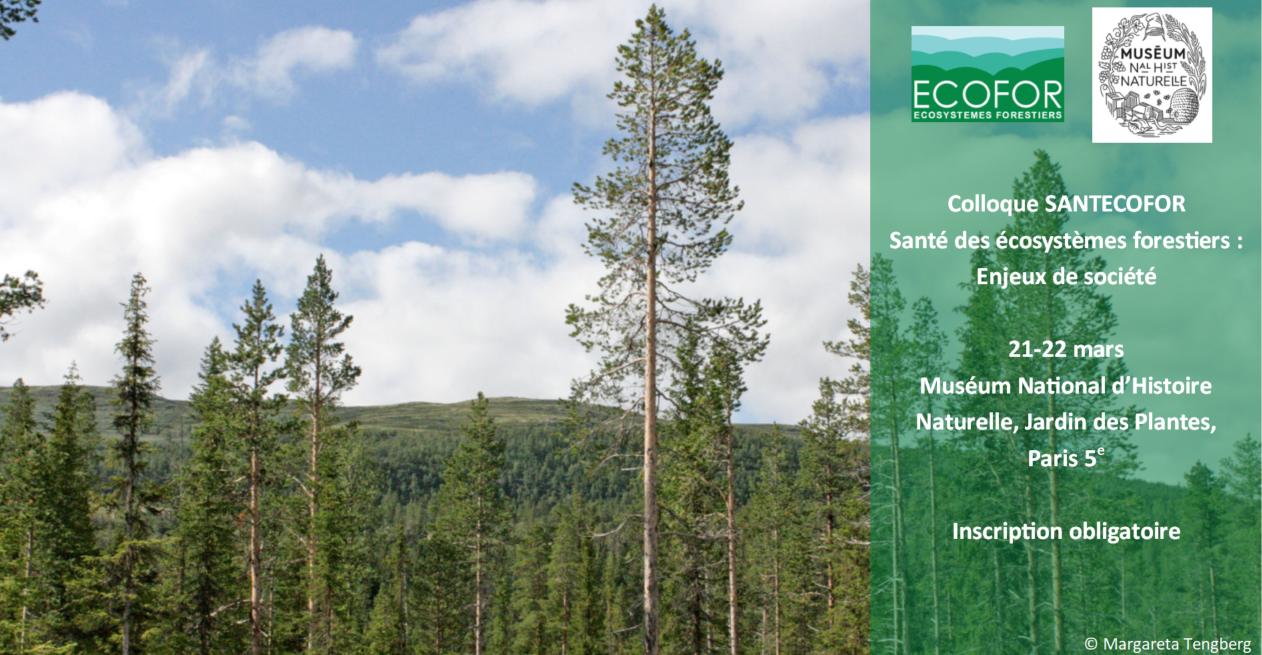 21-22 mars 2023 – Colloque "SANTECOFOR – Santé des écosystèmes forestiers : Enjeux de société"