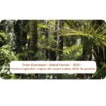 9-12 octobre 2023 – École d’automne « Global Forests - 2023 » – Forêts tropicales : enjeux de conservation, défis de gestion