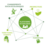 Projet FORESTT-HUB